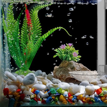 INOOMP Aquarium Feeding Tube with Feeding Ring Transparent Wall-Mounted Fish Feeder for Shrimp Tank Supplies Sinking Feed Dish Easy Setup 5.90 X 1.96 X 1.96 in