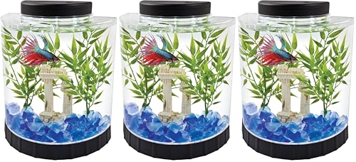 Tetra 1 Gallon Half Moon Small Fish Tank w/Movable LED Light, for Betta & Gold Fish, Aquarium | (Pack of 3) - size: 9"W,10.5"H,4.5"D (Pack of 3)