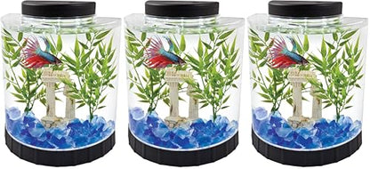 Tetra 1 Gallon Half Moon Small Fish Tank w/Movable LED Light, for Betta & Gold Fish, Aquarium | (Pack of 3) - size: 9"W,10.5"H,4.5"D (Pack of 3)