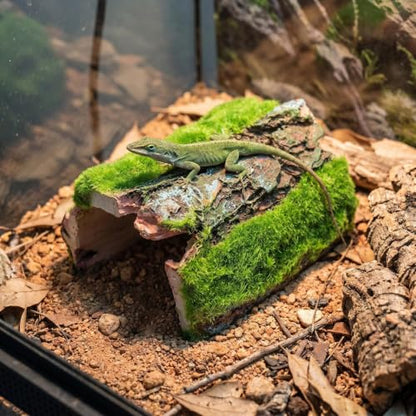 Reptile Hideout & Aquarium Cave Decor, Resin Hollow Log Hide for Fish Tank, Shrimp Turtle Lizard Betta Hiding Spot, Aquarium Ornament with Moss Look, 2.5"-4.1"