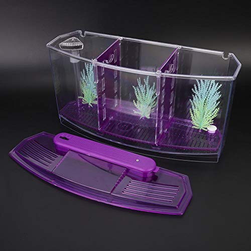 Mini Fish Breeding Box, Clear Acrylic LED Isolation Hatchery Tank for Desktop Aquarium Purple 11 x 3.9 x 5.9 in 3 Compartments 1 Filter Bubble Head