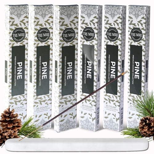 Pine Incense Sticks - Total 120 Insence-Sticks - 6 Packs of 20 Insense - Inciensos - Inscents - Natural Non Toxic Ingredients - Incents - Incence - Inscense - Insents - color: Pine, size: Pack of 6 (120 Sticks)