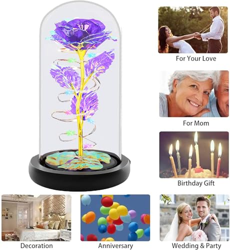 Fvawe Birthday Gifts for Women,Rose Glass Flowers Gifts for Mom,Galaxy Crystal Light Up Rose in A Glass Dome,Presents Girlfriend Wife Sister Grandma Her Anniversary Valentines Mothers Day, Purple - color: Purple Colorful