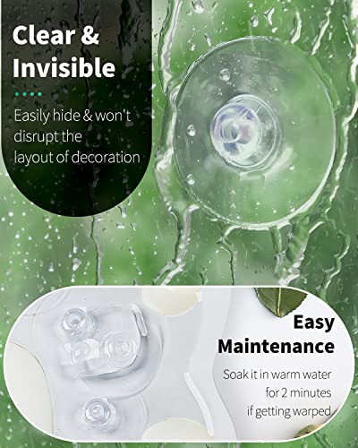 Pawfly 10 Pack Suction Cups 1.8 Inch, Small Rubber Suction Cups for Home Kitchen Bathroom Organization Christmas Decoration Window - style: 1.8 in 10pcs