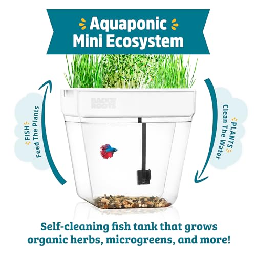 Back to the Roots Indoor Aquaponic Garden - 3 Gallon Self Watering, Mess-Free Planter and Self-Cleaning Fishtank for Herbs, Microgreens, Bamboo, Succulents, and Houseplants, support Fish - size: Deluxe, style: Aquaponic Fish Tank