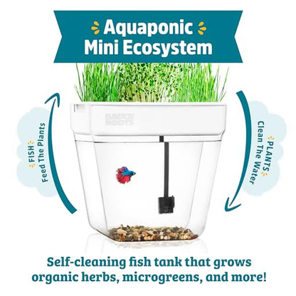 Back to the Roots Indoor Aquaponic Garden - 3 Gallon Self Watering, Mess-Free Planter and Self-Cleaning Fishtank for Herbs, Microgreens, Bamboo, Succulents, and Houseplants, support Fish - size: Deluxe, style: Aquaponic Fish Tank
