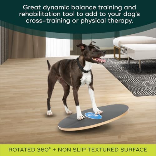 FitPaws Wobble Board - Dog Balance Training Equipment for Core Strength & Stability Canine Fitness & Rehabilitation Tool 20" - size: 20"