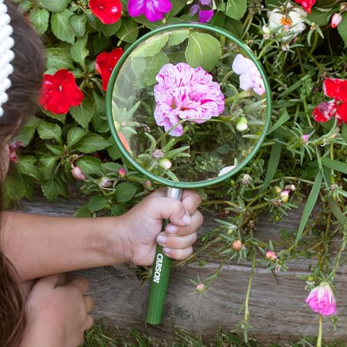 Carson BigEye Magnifier with Over-sized 5-Inch Lens (HU-20) - size: Single Pack