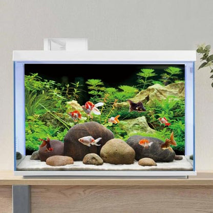 AWERT 36x24 inches Aquarium Background Seaweed Aquarium Background Aquatic Plant Stone River Bed & Lake Fish Tank Background Vinyl Background - size: 36x24in/90x60cm