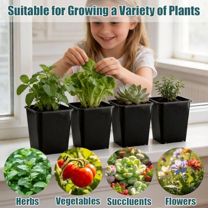 Nursery Pots 6 Inch 40 Pcs, Plastic Seed Starting Pot with Drainage Holes, Sturdy Seedling pots for Planting, Cuttings (Black) - color: Black, size: 6 Inch-40P