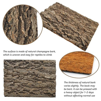 PINVNBY Natural Cork Bark Terrarium Background,15.74x11.81 Inches Reptile Tank Backdrop 3D Bearded Dragon Tank Climbing Wall Habitat Decor for Gecko Lizard Tortoise Frog Chameleon(1 PCS) - size: 【1 PCS】