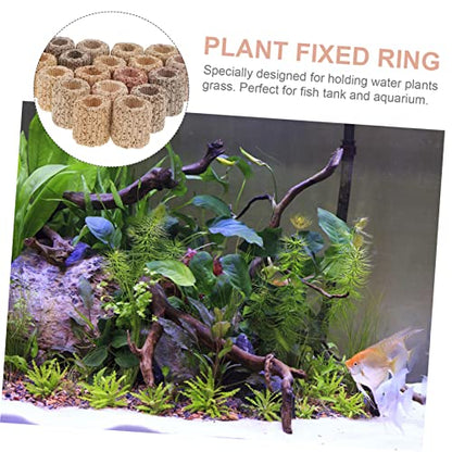 TEHAUX 20pcs Plant Ornament Holders Aquarium Accessories Fish Landscape Accessories Aquarium Ornament Fixed Ring Habitat Suction Cups Fish Tank Fish