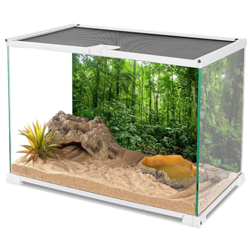 AWERT 60x24 inches Terrarium Background Tropical Aquarium Background Green Huge Tree Rainforest Reptile Habitat Background Durable Polyester Background - size: 60x24in/150x60cm