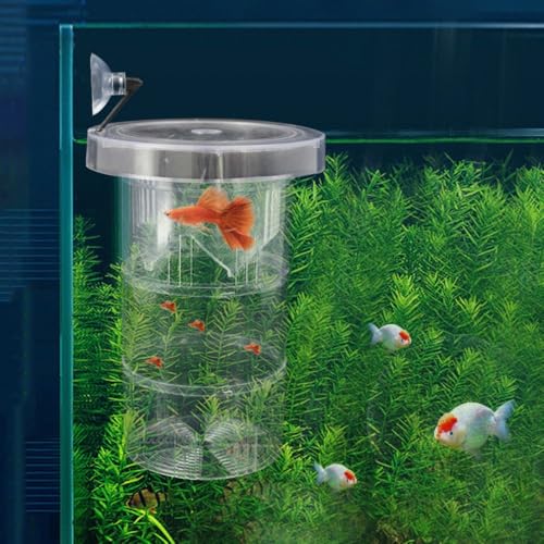 Guppy Breeding Box Aquarium Incubator Floating Fish Hatchery Suspension Isolation Tank(S)