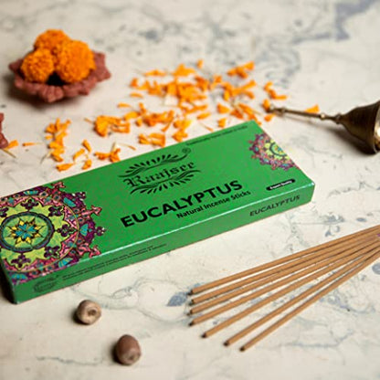Raajsee Incense Sticks Eucalyptus 100 gm Pack-100% Pure Organic Natural Hand Rolled Free from Chemicals-Perfect for Church, Aromatherapy,Relaxation,Meditation,Positivity & Sensual Therapy - color: Eucalyptus