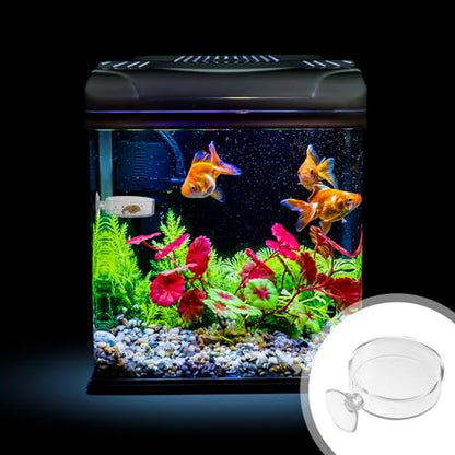 Kisangel 5 Pcs Acrylic Fish Feeder Bowl with Suction Cup 6.5cm Fish Food Holder for Aquarium and Shrimp Tank Feeding Accessories