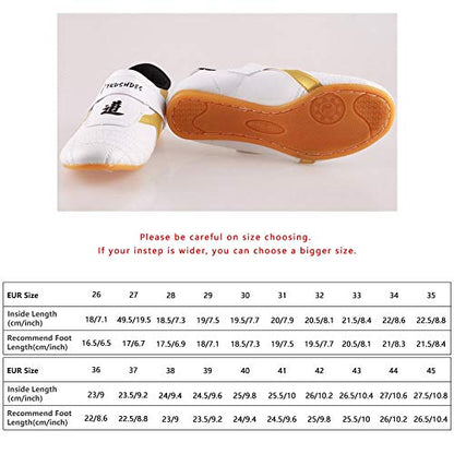 Taekwondo Shoes, Dilwe PU Leather Soft Sole Taekwondo Shoes for Taichi Gym Training (40)