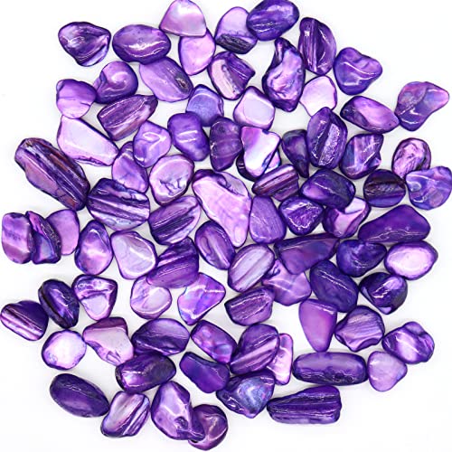 MOP Small Mini Purple Crushed Mother of Pearl Shells | Natural Seashell Fragments for Crafts, Vase Filler and Wedding Decor, 32 oz (2 lb) - color: Purple