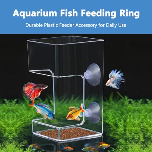 Square Fish Feeder Box No Mess Aquarium Food Catcher Tank Accessories Feeding Tube Holder for Betta Fish Blood Worm Food Box for Turtle Tank and Aquarium Feeding Control
