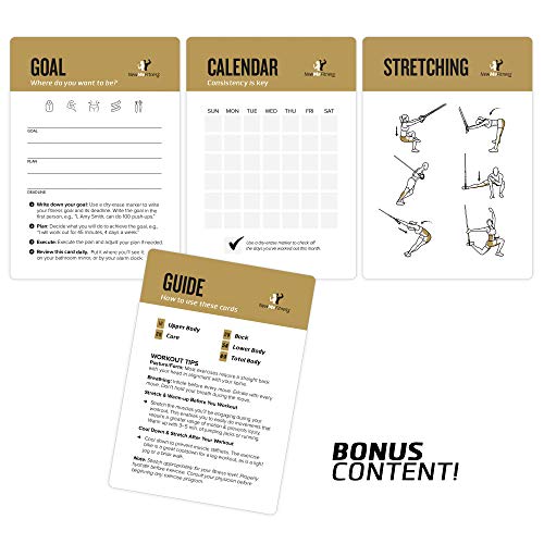 NewMe Fitness Suspension Workout Cards, Instructional Fitness Deck for Women & Men, Beginner Fitness Guide to Training Exercises at Home or Gym (Suspension, Vol 2) - style: Suspension Vol2