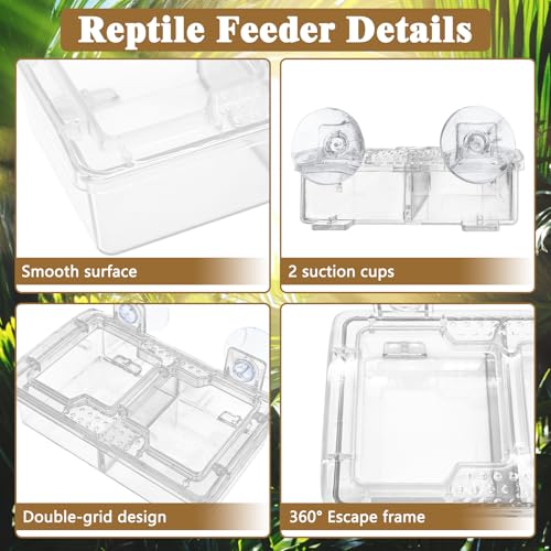 Hamiledyi Transparent Reptile Feeder with Suction Cup Separated Double Compartments Chameleon Bowl Gecko Live Worm Feeder Anti-Escape Reptile Supplies for Lizard Bearded Dragon (White, 2 Pcs) - color: White