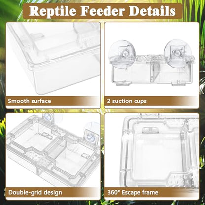 Hamiledyi Transparent Reptile Feeder with Suction Cup Separated Double Compartments Chameleon Bowl Gecko Live Worm Feeder Anti-Escape Reptile Supplies for Lizard Bearded Dragon (White, 2 Pcs) - color: White