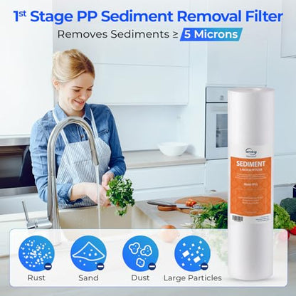 iSpring F9D 1-Year DeIonization Replacement Filter Set Fit RO/DI Water Filter System for Aquarium, 2.5" x 10" - style: 1-Year Replacement Set for DI RO