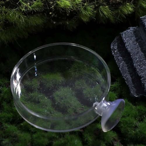 Shrimp Food Box, Round/Square Practical Fish Feeding Bowl, Acrylic Transparent Aquarium Accessories Fish Feeding Dish Shrimp Food Feeding Circle(A) - style: A