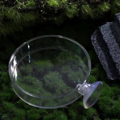 Shrimp Food Box, Round/Square Practical Fish Feeding Bowl, Acrylic Transparent Aquarium Accessories Fish Feeding Dish Shrimp Food Feeding Circle(A) - style: A