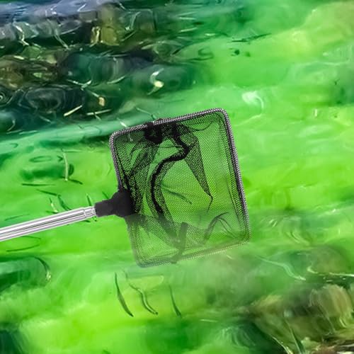 2pcs Fine Mesh Aquarium Fish Nets with Stainless Steel Handle Small Nylon Shrimp and Fish Catch Nets for Freshwater and Saltwater Tanks and Adults
