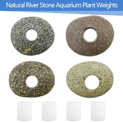 2PCS Natural River Stone Plant Weights for Aquarium，Pebble Aquatic Plants Fixed Ring for Aquatic Plants，Unique Shape & Size Decorative River Rock for Landscape Plant(0.8" Holes) - size: 2, style: 1 hole