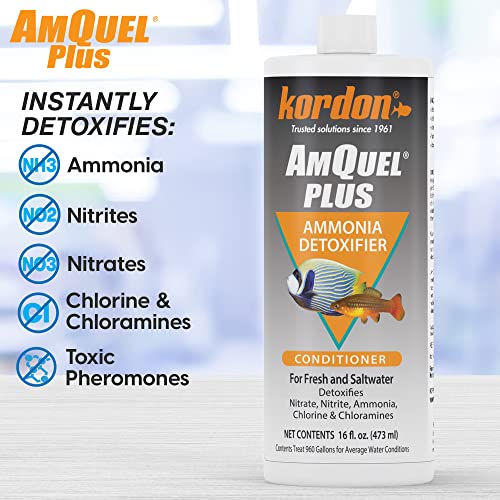Kordon AmQuel Plus Aquarium Water Conditioner - Instantly Detoxifies Ammonia, Nitrite, Nitrate, and Chlorine Remover for Freshwater & Saltwater Aquariums, 16 Ounces (Pack of 2) - size: 16 Ounces (Pack of 2)