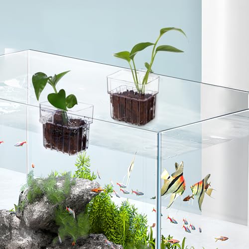 NOLITOY 4 Pack Aquarium Plant Cups Clear Acrylic Hanging Aquarium Plant Holder with Bottom Holes and Screw Fixture Fish Tank Pots for Live Plants Accessories