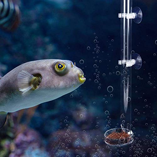Acrylic Shrimp Feeder Tube, Ornamental Aquarium Feeding Tube Fish Food Container Set with Sucker Hook Fish Accessories(20cm)