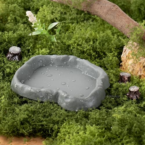 Snail Food and Water Bowl Terrarium Feeding Dish for Tank Supplies