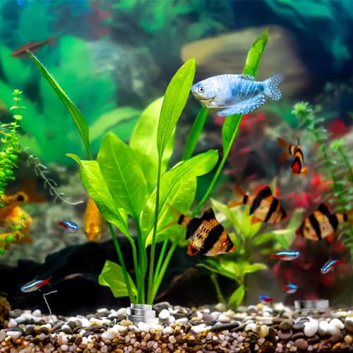 Aquarium Plant Weights, Plant Anchors, 30Pcs Aquarium Plant Anchors, Plant Weights Anchors for Live Plants, Plant Weights Stops Plants from Floating in The Aquarium.