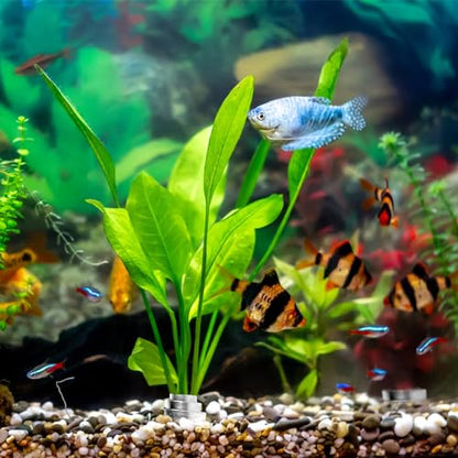 Aquarium Plant Weights, Plant Anchors, 30Pcs Aquarium Plant Anchors, Plant Weights Anchors for Live Plants, Plant Weights Stops Plants from Floating in The Aquarium.
