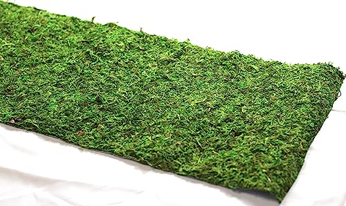 Preserved Moss Runner and Mats (12in x 6ft) - color: 12in X 6ft