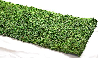 Preserved Moss Runner and Mats (12in x 6ft) - color: 12in X 6ft