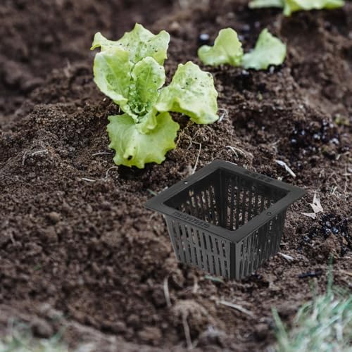 Yardwe 10Pcs Square Planting Baskets 2.24X2.24X1.45In Plastic Aquatic Plant Basket Mesh Pots for Aquarium Hydroponics and Aquaponics Gardening - size: 10PCS