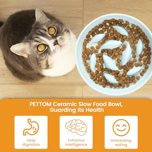 PETTOM Slow Feeder Cat Bowl with Stand, Ceramic Slow Eating Cat Bowl with Higher Edges Fish Pool Design Elevated Food Bowls for Dry and Wet Food Anti-Vomiting Puzzle Feeder for Healthy Eating Diet - color: Green