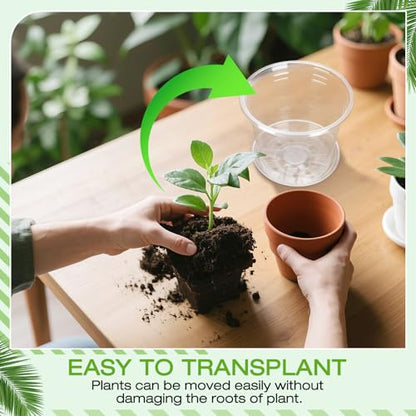 6 Inch Clear Nursery Pots with Drainage Trays, 15 Pack Plastic Pots for Plants, Clear Pot for Seed Starting, Transplanting, Succulents, and Indoor Gardening (6 inch) - size: 6 inch