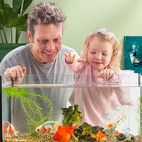 Aquatic Fish Feeding Disk - Glass Shrimp Feeder Tube Set, Clear Suction Cup Feeder Tray, Tank Feeding Station | Aquarium Care Tool for Pets | Easy Feed Solution for Shrimp Fish Snails - size: 28CM feeding tube + cleaning brush + feed spoon