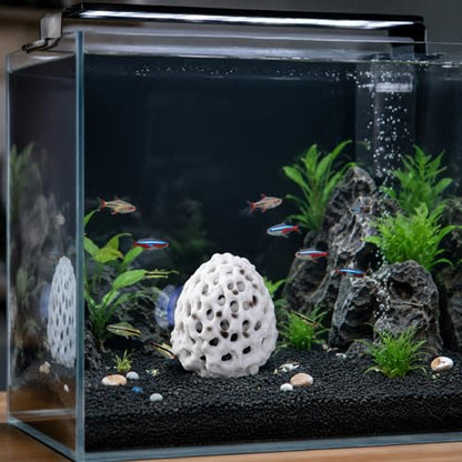 2PCS Shrimp Hides for Aquarium, Shrimp Hide and Aquarium Shrimp Hideout, Cave with Suction Cup for Shrimp Tank Decor, Hiding and Resting Accessory