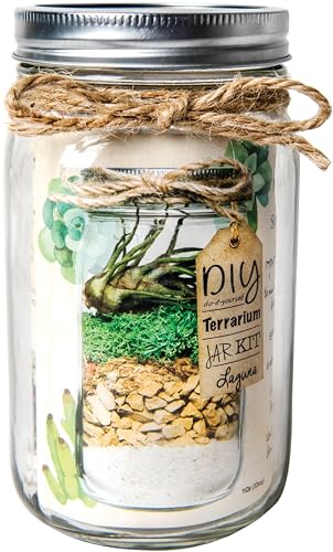 SuperMoss (90410) Terrarium Jar DIY Kit – Build Your Own Mini Garden in a Jar, Idea for Budding Gardeners, Creative Kids & Plant Lovers of All Ages, 32oz, Laguna - color: Laguna