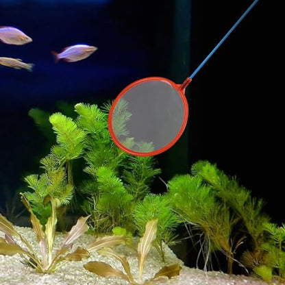 GALPADA 10pcs Aquarium Fish Landing Nets Small Fine Mesh Fish Tank Net Portable Fishing Gear for Outdoor Catching and Aquarium Cleaning Random Color