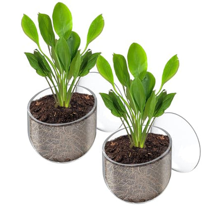 Pawfly 2 Pcs Aquarium Plant Holder, Fish Tank Plant Pot for Aquascape Decoration, Red Worm Fish Feeder, Aquarium Planter Cup with Suction Cup, Clear. - size: 2 Pack