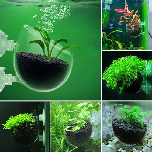 4Pcs Aquarium Plant Planter, Acrylic Fish Tank Plants Holder, Aquarium Decoration Plant Cup with Suction Cups for Fishes Tank Ornament Aquarium Décor Plastic Plants Fish and Aquatic Pets, (2",1.5")