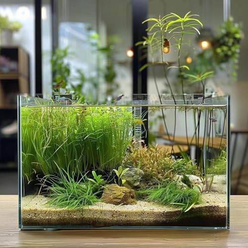 Vimvins 3 Gallon Glass Fish Tank, Easy to Maintain Small Aquarium for Betta/Goldfish/Snails/Shrimp and Aquatic Planting. - size: 3 Gallon