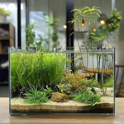 Vimvins 5 Gallon Glass Fish Tank, Easy to Maintain Small Aquarium for Betta/Goldfish/Snails/Shrimp and Aquatic Planting. - size: 5 Gallon